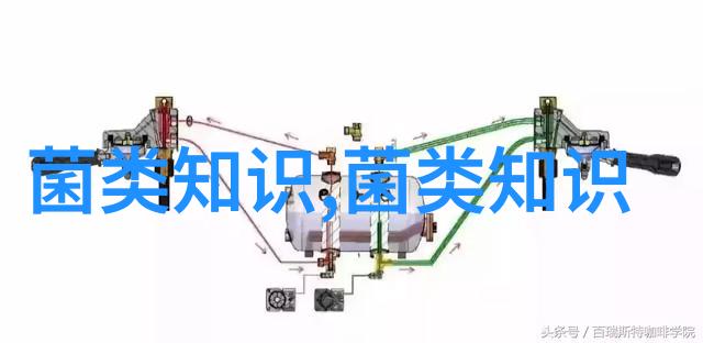 云南红河林下覆土栽培滑子菇