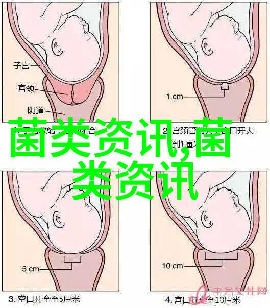 促使母野猪白天的产仔两法